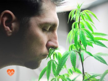 Детоксикация от марихуаны в Омутинском